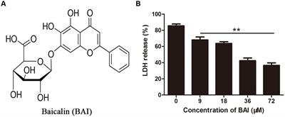 Baicalin Protects Mice from Lethal Infection by Enterohemorrhagic Escherichia coli